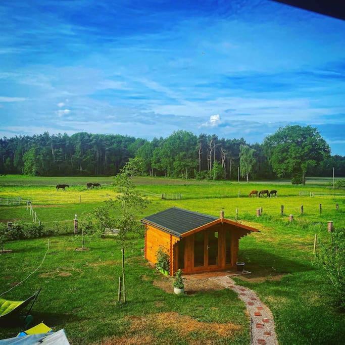 Wunderschoene Ferienwohnung Auf Dem Bauernhof Гревен Екстериор снимка