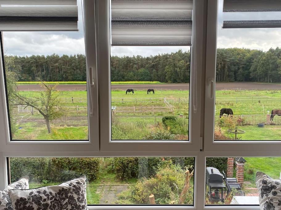 Wunderschoene Ferienwohnung Auf Dem Bauernhof Гревен Екстериор снимка
