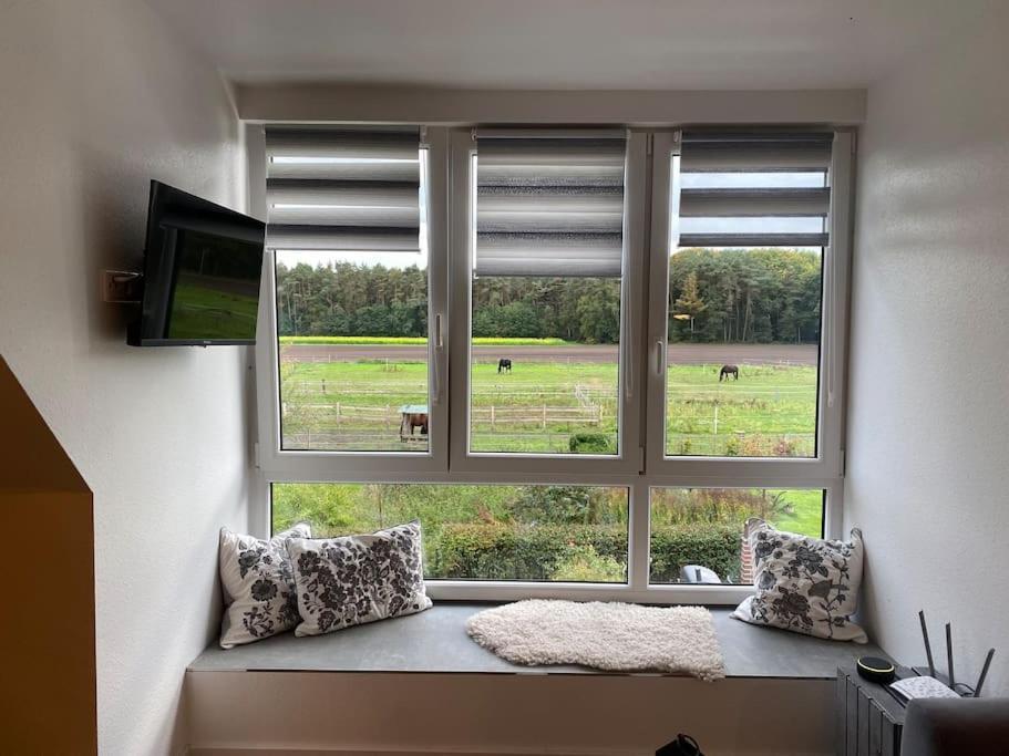 Wunderschoene Ferienwohnung Auf Dem Bauernhof Гревен Екстериор снимка